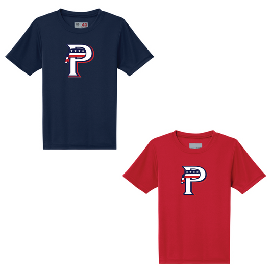 USA Prime Baseball Practice Tee